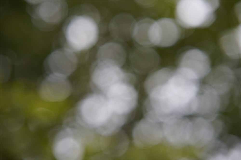 Test Samyang 85mm F1.4 Sony E FE Bokeh